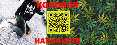 мяу мяу мука Кандалакша