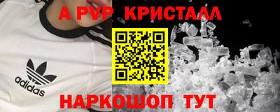ПСИЛОЦИБИНОВЫЕ ГРИБЫ Камышлов